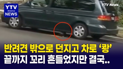 "내다 버린 것보다 더 한 만행" 자신의 반려견을 차로 깔아뭉갠 여성