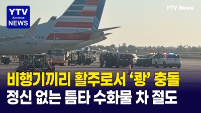 "대형 항공사도 피해가지 못했다"… 항공기 충돌에 수화물 견인차 탈취까지