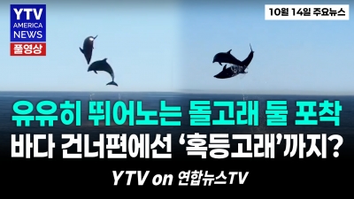이런 광경 처음 본다! ... 거대 고래 낚싯배와 정면충돌   YTV America News  2026년 10월14일