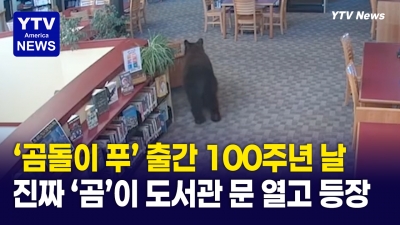 '곰돌이 푸' 첫 출간 100주년...거짓말같이 진짜 곰이 도서관에 찾아왔다