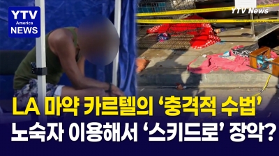 “노숙인 지원금까지 뜯어냈다”  마약조직 충격적 범행