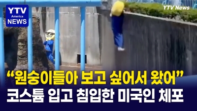 미국인 관광객, 일본 인기 원숭이 '펀치' 우리에 난입