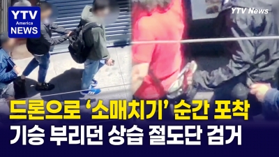 차이나타운, 상습 소매치기범 3명 '검거'...보행자 가방 열고 지갑 '슬쩍'