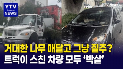 노스할리우드, 나무 매단 채 질주한 대형 유홀 트럭