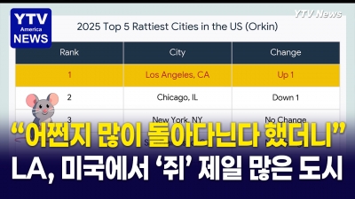 전국에서 쥐가 가장 많은 도시 1위 불명예