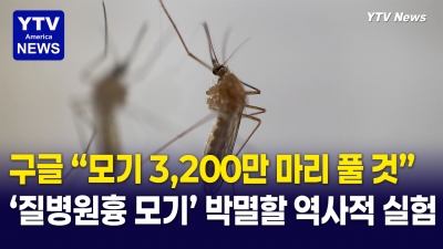 구글의 충격 실험  " 모기 3,200만 마리로 ... 모기를 잡는다"
