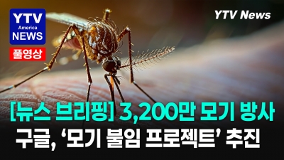 구글,  좋은 모기 3,200만 마리로 나쁜 모기 잡는다?    06012026 YTV America News Final