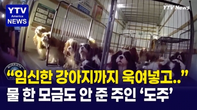 “세상에…” 좁은 우리에 갇힌 강아지 33마리