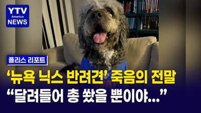 반려견 '제임슨' 죽음에 20만 달러 모였다… SNS 미국인 공분