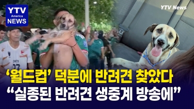월드컵 축하 생방송 중 일어난 기적! 한 달 전 실종된 반려견을 축제 현장에서 찾았다