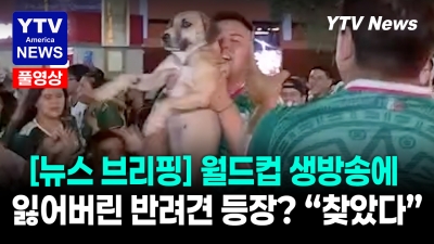 [미국은 지금] 월드컵 중계 화면에 찍힌 '실종 반려견'   06262026 YTV America News