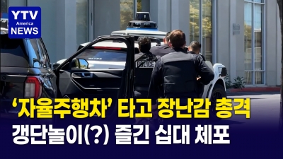 자율주행차에서 벌어진 황당 사건 '도대체 뭘 했길래'