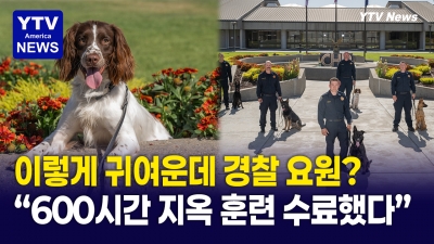 '댕댕이' 귀엽다고 속지 마세요!  최초 스패니얼 'K9 경찰견' 데뷔
