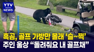 경기 불황 때문이니?   곰이 골프가방 통째로 훔쳐 도주
