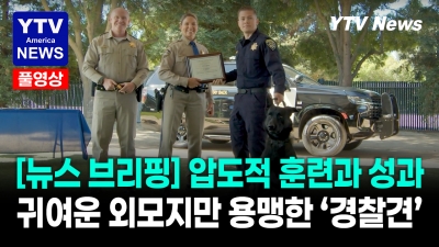 경찰견도 '졸업식' 한다! 600시간 훈련받은 K9 정예팀 공개     07142026 YTV America News
