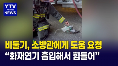 작고 하찮은 생명은 없다...숨 못쉬는 비둘기 도운 히어로