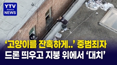 고양이 잔혹 살해범 검거 작전...드론 띄우고 지붕 위 대치