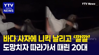 바다사자의 고통스러워 하는 모습에도 "깔깔" …영상 공개에 미국 '분노'