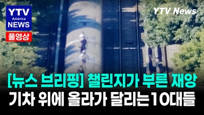 기차 지붕 질주·축제 총격·바다사자 학대…미국 발칵 뒤집은 하루  YTV America News [2026년 7월 27일]
