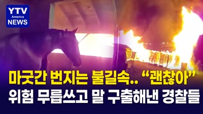 불타는 마굿간! … 경찰과 말들의 기적 같은 탈출