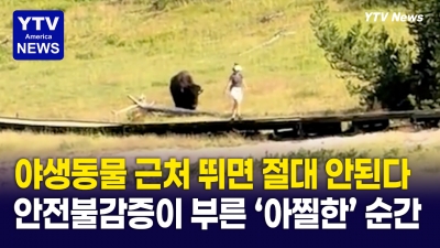 아이 뒤쫓는 들소… 옐로스톤 국립공원서 일어난 아찔한 순간