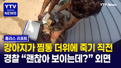 “죽지 마, 숨 쉬어!” 견주의 처절한 애원…결국 숨진 반려견, 경찰 대처 ‘논란’