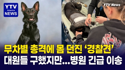 “고생 많았어 우리의 경찰"…총격전서 몸 던져 대원들 구한 '경찰견'