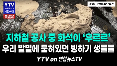 지하철 공사하다 ‘깜짝’…빙하기 거대 코끼리·들소·땅늘보 화석 500점 쏟아져   YTV America News 2026년 8월 17일