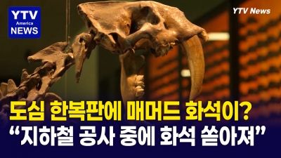 지하철 연장공사가 깨운 고대 생태계, LA 카운티 자연사 박물관에서 만난다