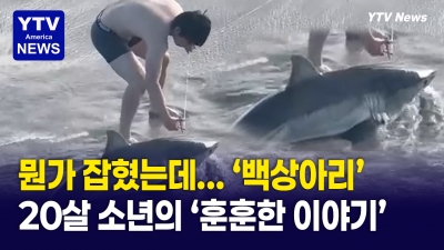 뭔가 잡혔는데 '백상아리' ... 20살 소년의 '훈훈한 이야기'