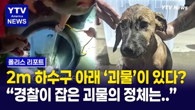 깊은 하수구에 괴물이 있다?...경찰이 발견한 건 작은 '꼬찔이'