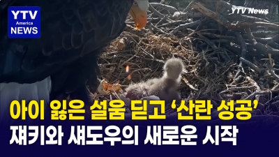 부활절에 맞이한 특별한 날... 재키와 섀도우 새로운 아기 독수리들 맞아