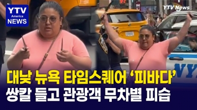 뉴욕 타임스퀘어 한복판서 쌍칼 휘두르는 여성 ...1명 부상, 2명 사망