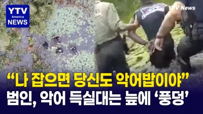 경찰 피하려 '악어' 득실대는 늪으로 뛰어든 남성의 최후