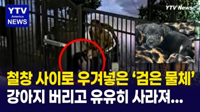 강아지 유기한 남성 수배 ... 남의 집 철창 속으로 강아지 집어 넣어